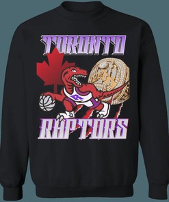 Toronto Raptors CHAMPIONSHIP Vintage NBA Crewneck Sweatshirt Hoodie Shirt Gifts for Fans