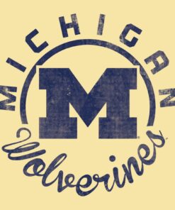University of Michigan Wolverines Synced Circle Shirt Sweatshirt Pullover Hoodie Reprinted Full Color Full Size