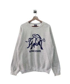 Utah State University T-Shirt Sweatshirt Pullover Hoodie Reprinted Full Color Full Size Gift For NCAA Fans