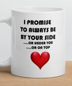 Valentine Gift Funny Valentine Mug I Promise To Always Be By Your Side Mug Funny Mug Gift For Husband Gift For Wife