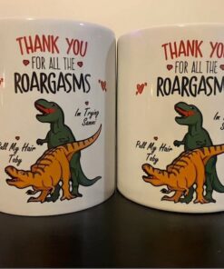 Valentines Mug Thank You For The Roargasms Custom Names Dinosaur Funny Rude Mug His And Hers Gift Uk