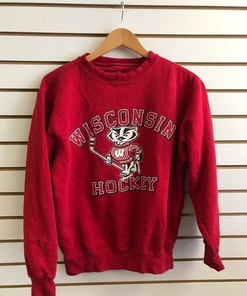 Vintage 1990s Wisconsin hockey Sweatshirt, Vintage 90s Shirt, T shirt, Hoodie