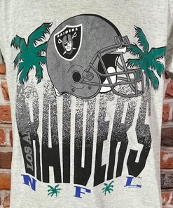 Vintage 1991 La Raiders Palm Trees Shirt Hoodie Sweatshirt, 90s Single Stitched Los Angeles Tee