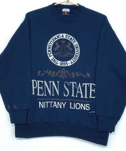 Vintage  1991 Penn State University Nittany Lions Sweatshirt, Vintage Shirt, T shirt, Hoodie