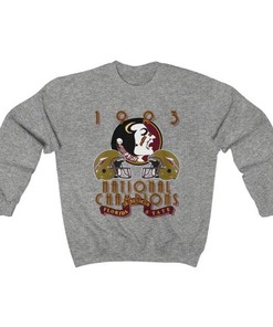 Vintage 1993 University of Florida State Seminoles Football Crewneck Sweatshirt, Vintage 90s Sweatshirt, Vintage Shirt