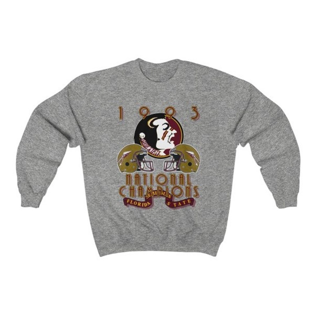 Vintage 1993 University of Florida State Seminoles Football Crewneck Sweatshirt, Vintage 90s Sweatshirt, Vintage Shirt