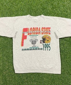 Vintage 1995 Florida State University Seminoles Crewneck Sweatshirt, Vintage Shirt, T shirt, Hoodie