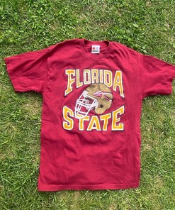 Vintage 80s Florida State University Seminoles T-shirt, Vintage Sweatshirt, Shirt, Hoodie