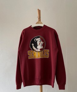 Vintage 90s Florida State Seminoles Football Crewneck Sweatshirt, Vintage Shirt, T-shirt, Hoodie