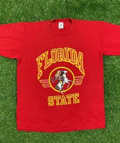 Vintage 90s Florida State University Seminoles T Shirt, Vintage Sweatshirt, T shirt, Hoodie