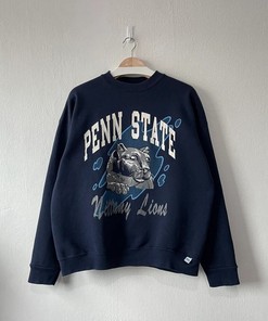 Vintage 90s Penn State University Nittany Lions Crewneck Sweatshirt, Vintage 90s Sweatshirt, Vintage Shirt, Hoodie