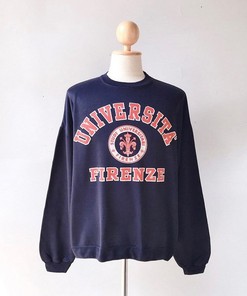 Vintage 90s University Florence, Universita Firenze Sweatshirt, Vintage Shirt, T shirt, Hoodie