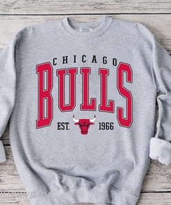 Vintage Chicago Bulls Sweatshirt, Chicago Basketball Hoodie, Vintage Basketball Fan Shirt,Chicago Bulls Shirt, Bulls Basketball Unisex Tee