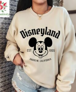 Vintage Mickey Disneyland Characters Shirt, Vintage Disneyland Rainbow Shirt, Disney Rainbow Shirt, Vintage Mickey And Friends Shirt