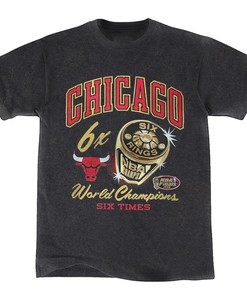 Vintage NBA 90s Chicago Bulls Champions Logo Shirt, Basketball Shirt, Unisex T-Shirt Sweater Hoodie