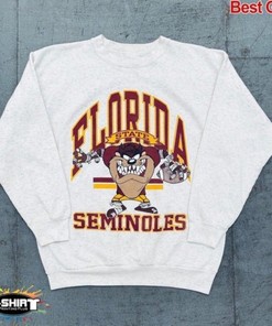 Vintage NCAA Florida State Seminoles Sweatshirt, Florida State University Hoodie Shirt Gifts for NCAA Fans
