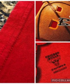 Vintage Style 00s Nutmeg NBA Chicago Bulls Basketball Tshirt Sweatshirt Hoodie Crewneck Sweatshirt Pullover Reprinted Full Color Full Size Gifts for NBA Fans