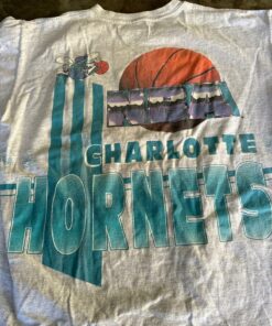Vintage Style 1992 Charlotte Hornets Double Sided 1992 Tshirt Hoodie Crewneck Sweatshirt Reprinted Full Color Full Size Gifts for NBA Fans