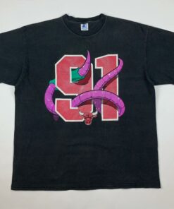 Vintage Style 90s Chicago Bulls Dennis Rodman The Worm Tshirt Hoodie Crewneck Sweatshirt Reprinted Full Color Full Size Gifts for NBA Fans