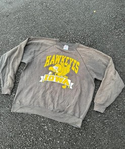 Vintage Style Sun Faded Hawk Eyes Tshirt Pullover Hoodie Crewneck Sweatshirt Reprinted Full Color Full Size Gifts For NFL Fans