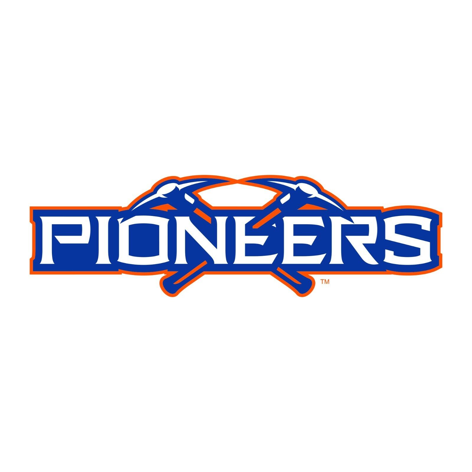 Wisconsin-Platteville PIoneers Basic Block Shirt Sweatshirt Pullover Hoodie Reprinted Full Color Full Size