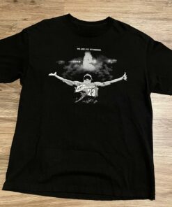 Y2K Lebron Promo Tshirt Sweatshirt Hoodie Crewneck Sweatshirt Pullover Reprinted Full Color Full Size Gifts for NBA Fans