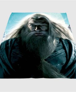 Albus Harry Potter Sherpa Fleece Blanket Gifts for Family, for Couple