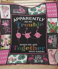 Apparently We Are Trouble When We Are Together Who Knew Flamingo Quilt Blanket Bedding Set