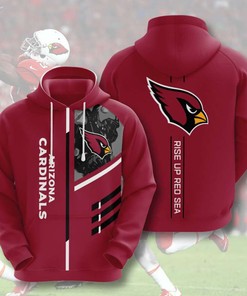 Arizona Cardinals Custom Sport All Over Print Hoodie 3D 16