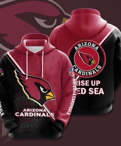 Arizona Cardinals Custom Sport All Over Print Hoodie 3D 9