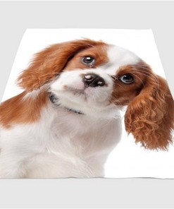 Baby Dog So Cute Sherpa Fleece Blanket Gifts for Family, for Couple
