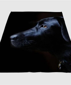 Black Dog Low Light Sherpa Fleece Blanket Gifts for Family, for Couple