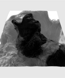 Black Dog Roar Sherpa Fleece Blanket Gifts for Family, for Couple