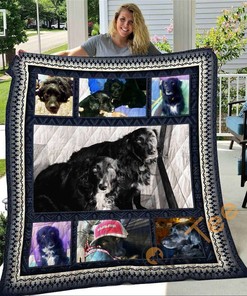 Border Collie Quilt