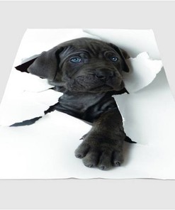 Break Wall With Dog Sherpa Fleece Blanket Gifts for Family, for Couple
