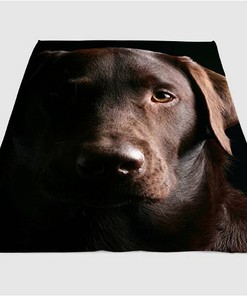 Brown Eyes Of Dog Sherpa Fleece Blanket Gifts for Family, for Couple