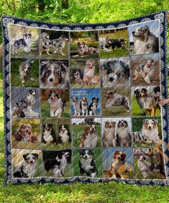 Chqd26003 Australian Shepherd Quilt Blanket Bedding Set
