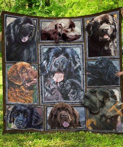 Chqdog41005 Newfoundland Quilt Blanket Bedding Set
