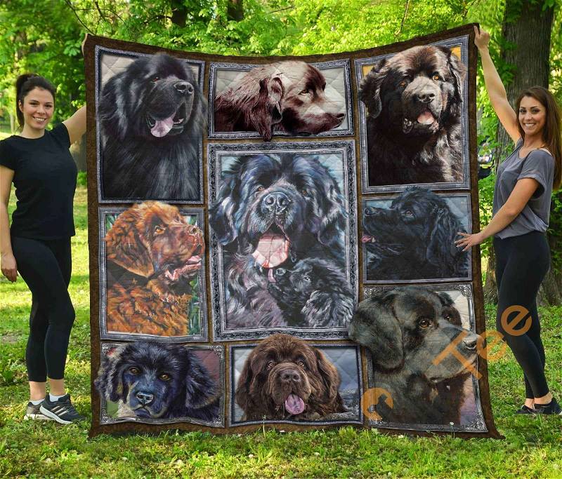 Chqdog41005 Newfoundland Quilt Blanket Bedding Set