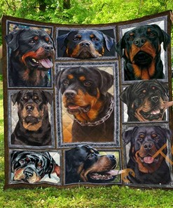 Chqdog41006 Rottweiler Quilt Blanket Bedding Set