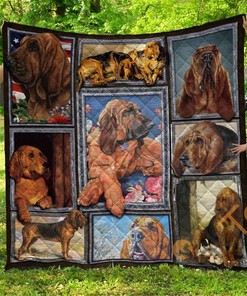 Chqdog41019 Bloodhound Quilt Blanket Bedding Set