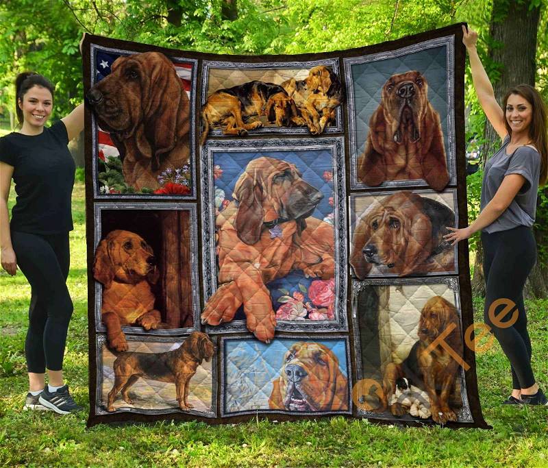 Chqdog41019 Bloodhound Quilt Blanket Bedding Set