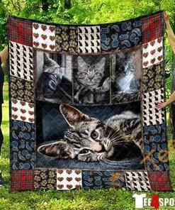 Cute American Shorthair Cat Pet Lover 3D Quilt Blanket Bedding Set