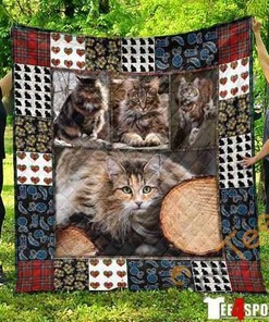 Cute Maine Coon Pets Cat 3D Quilt Blanket Bedding Set