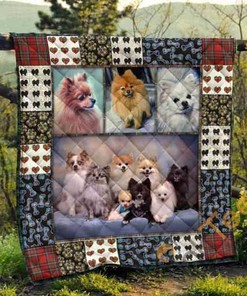 Cute Pomeranian Pets Dog 3D Quilt Blanket Bedding Set