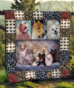 Cute Pomeranian Pets Dog Quilt Blanket Bedding Set