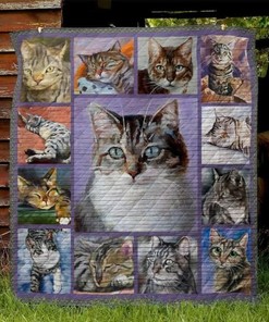 Cutiest Domestic Shorthair Cat Cat Lo Quilt Blanket Bedding Set