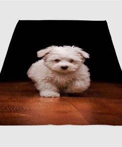 Dog Walking Sherpa Fleece Blanket Gifts for Family, for Couple