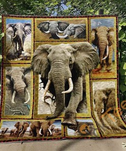 Elephant 5 Personalized Quilt Blanket and Bedding Set