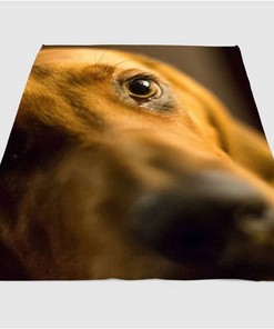 Eyes Of Brown Dog Sherpa Fleece Blanket Gifts for Family, for Couple
